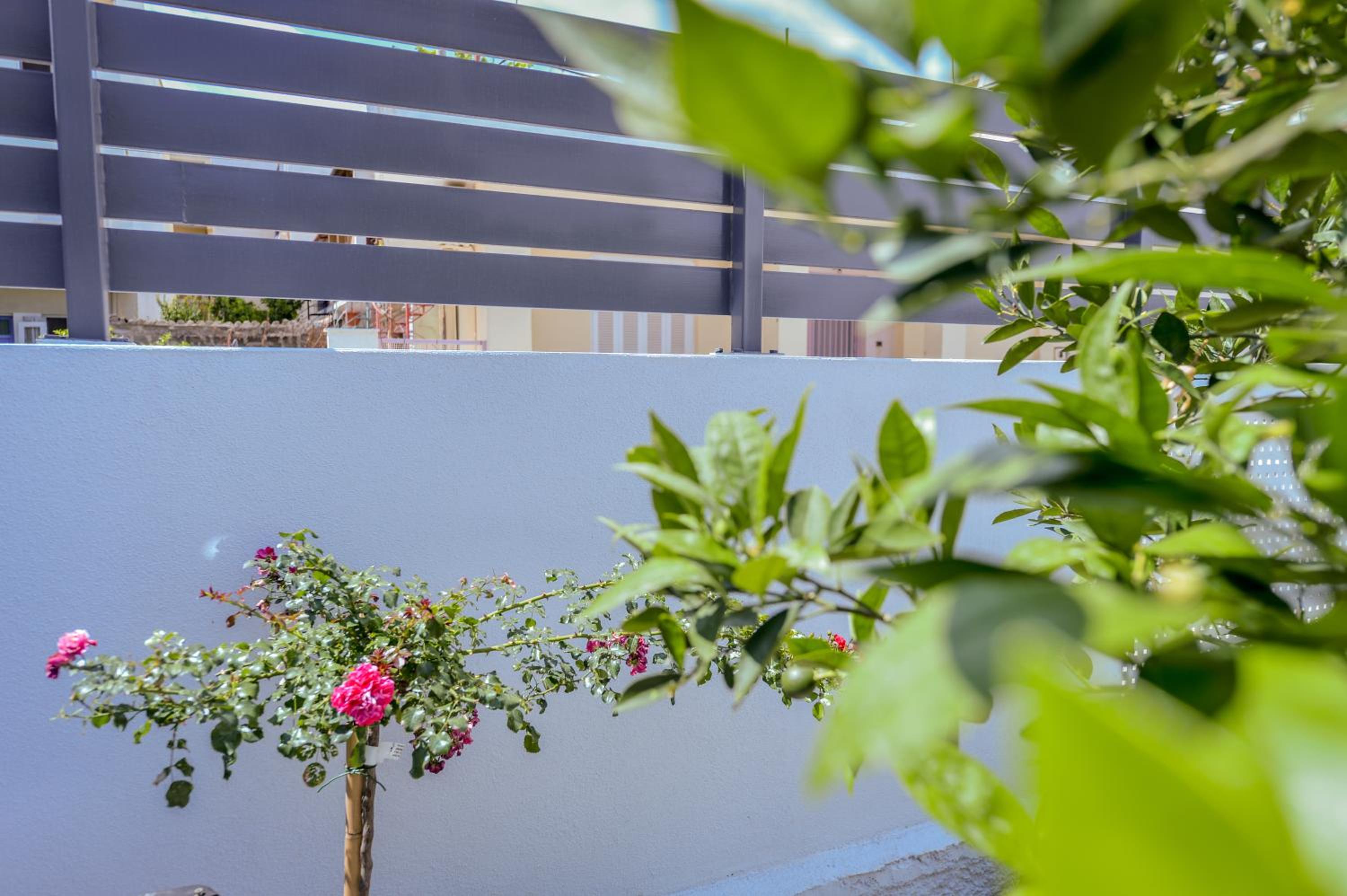 Hotel Garden Cellar - Kalamata Mediterranean Villas