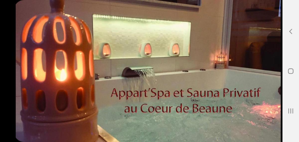 Hotel Appart Spa Coeur De Beaune