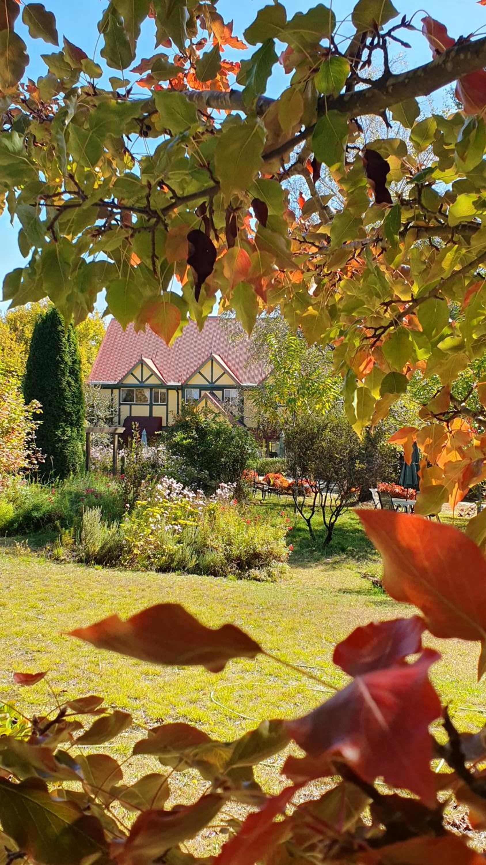 Hotel Oaktree Guest House