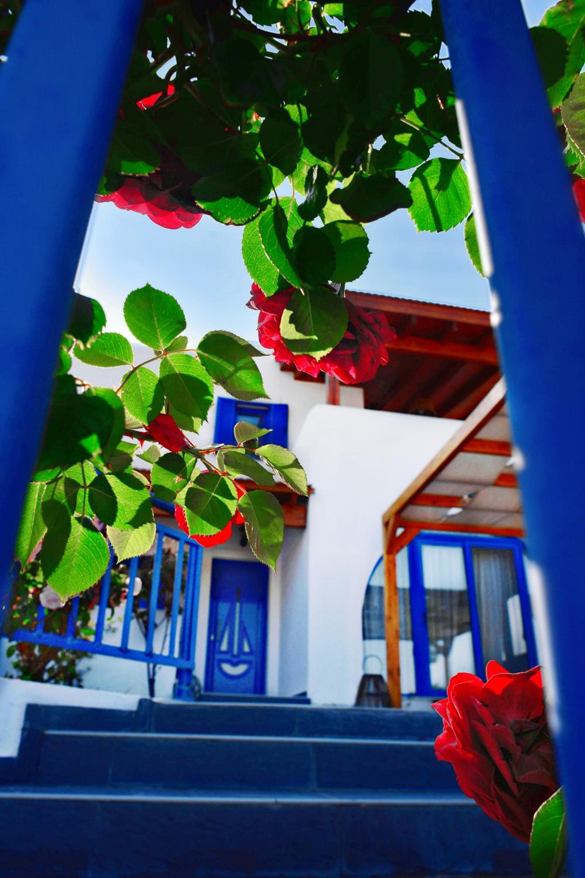 Hotel Villa Rose On The Beach
