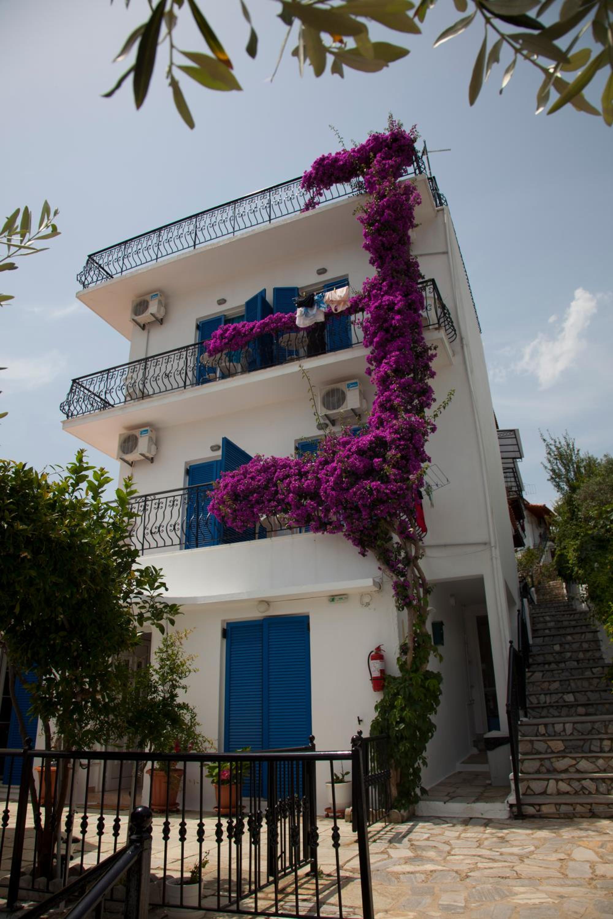 Hotel Villa Nina