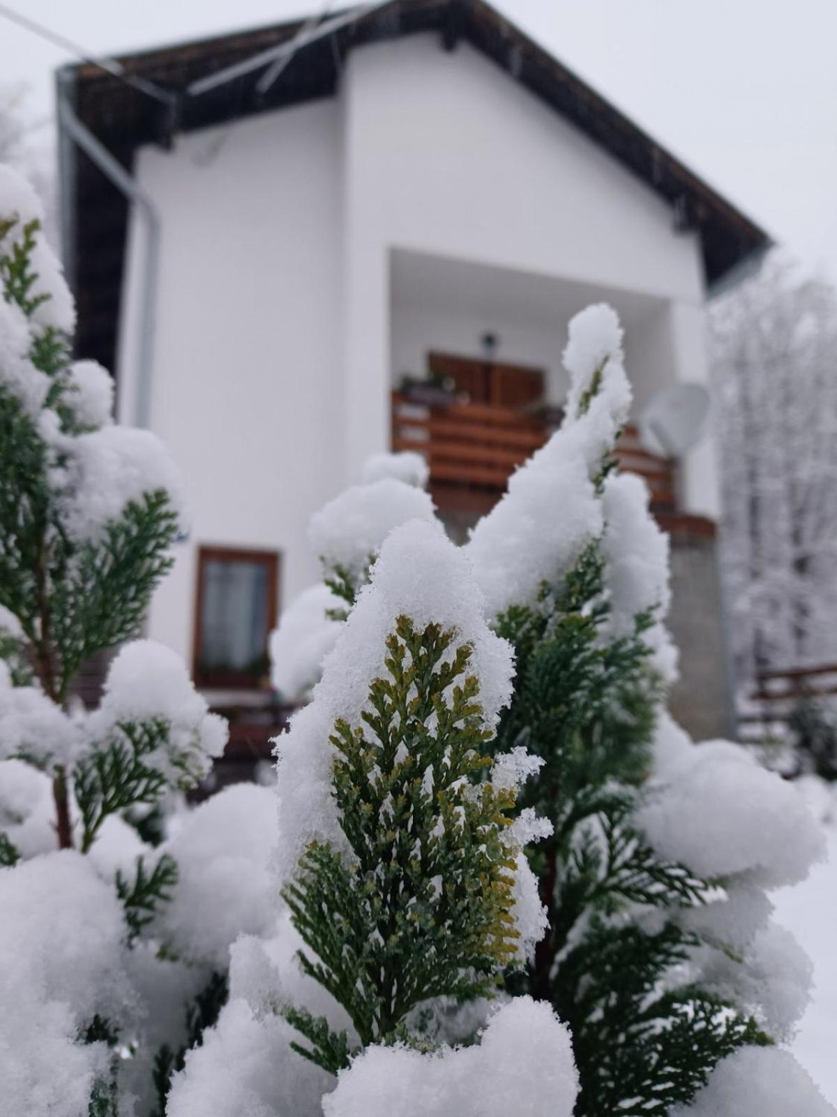 Hotel Holiday Home Tilia