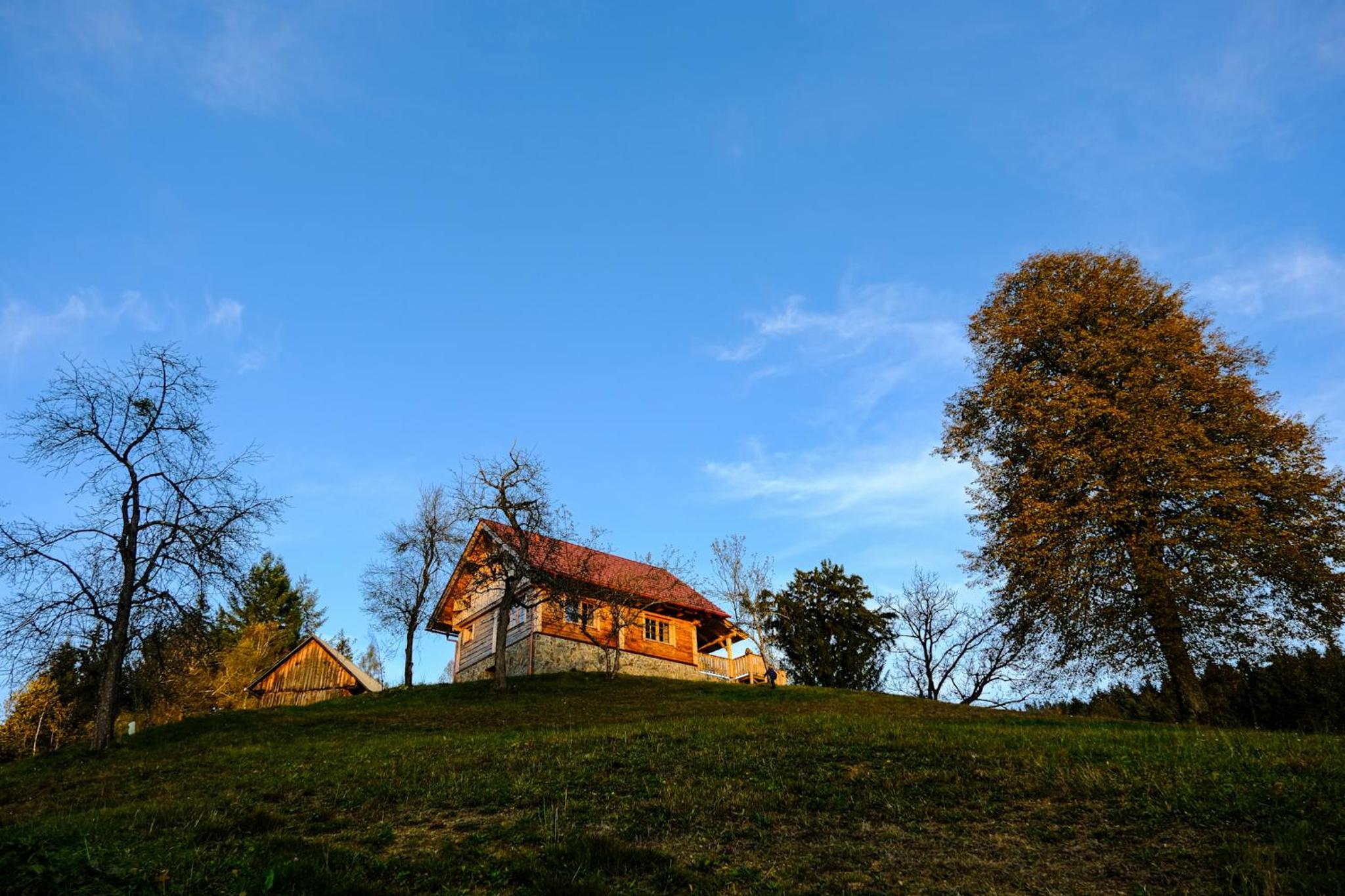 Hotel Cottage Golenovo