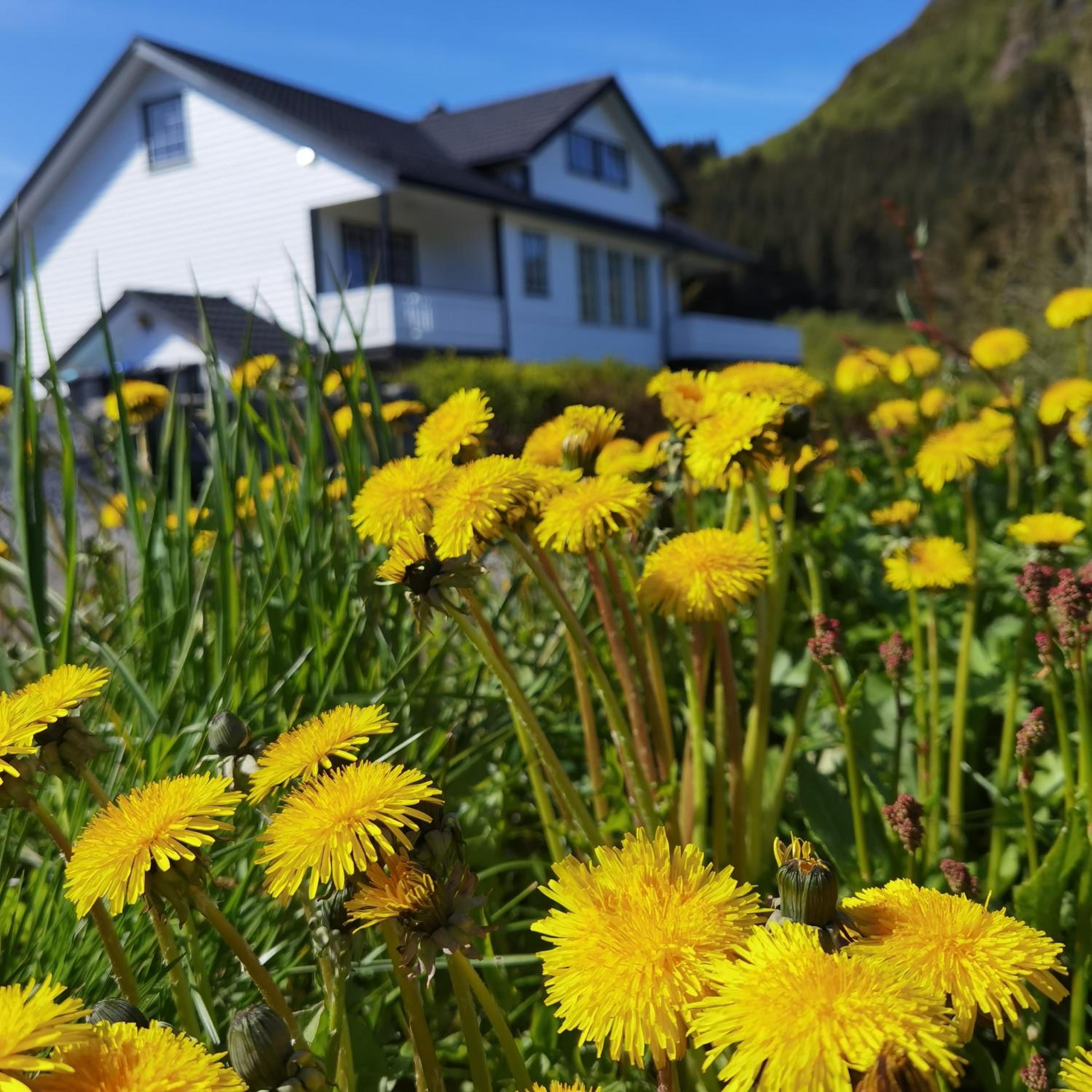 Hotel Banpim Hillside Lofoten