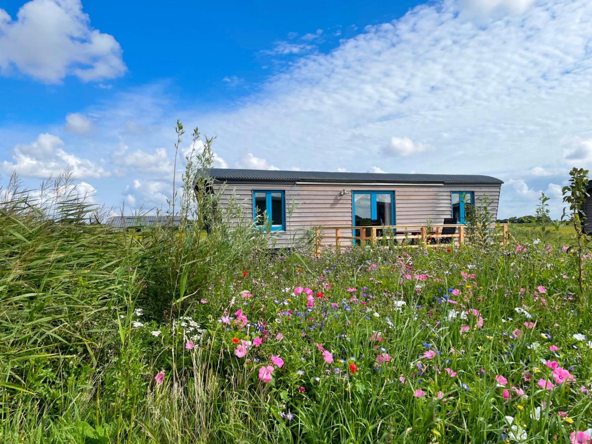 Hotel Schäferwagen Tiny House auf dem Friesenhof