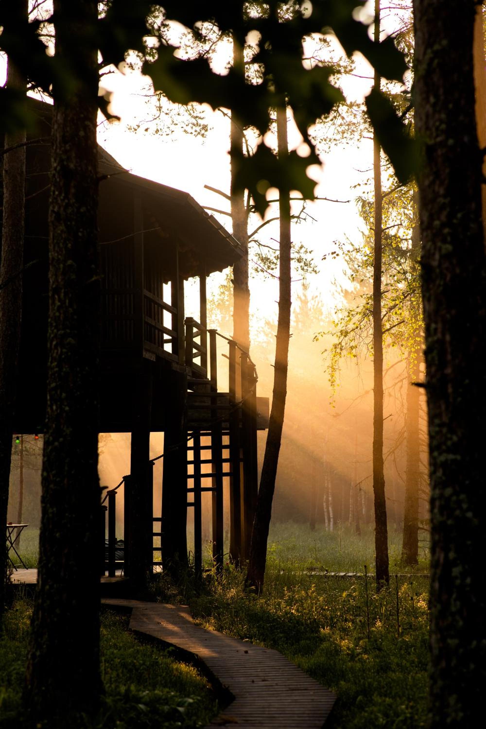 Hotel Sambliku Treehouse
