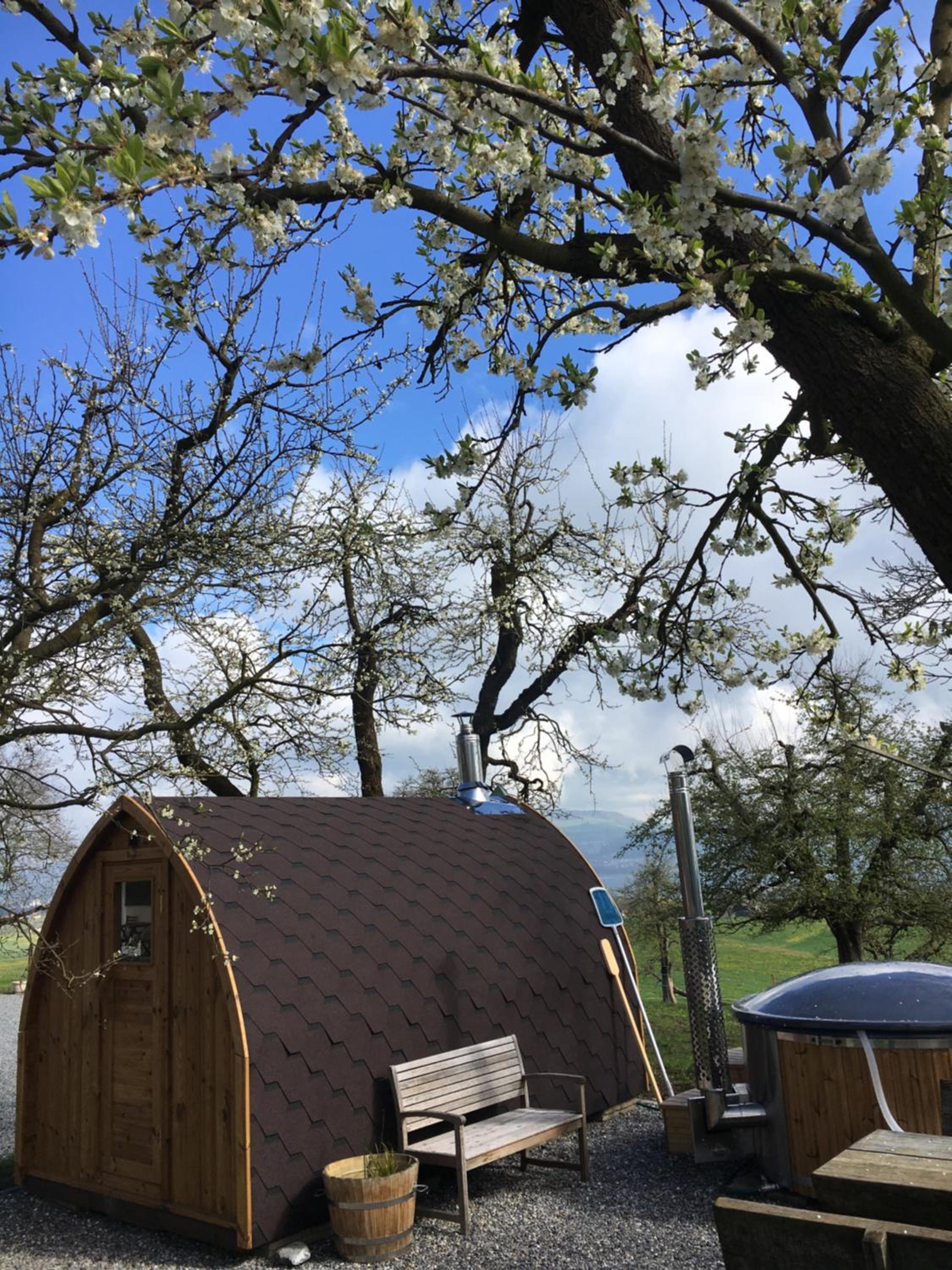 Hotel B&B Friedau