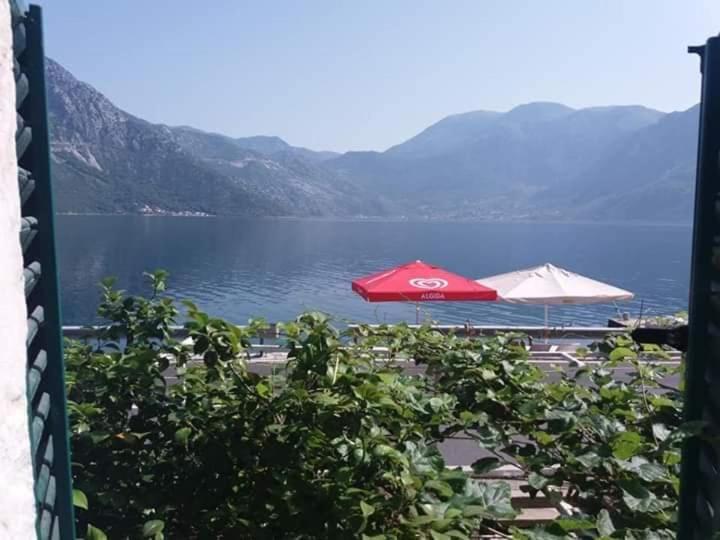 Hotel Apartments Dabovic