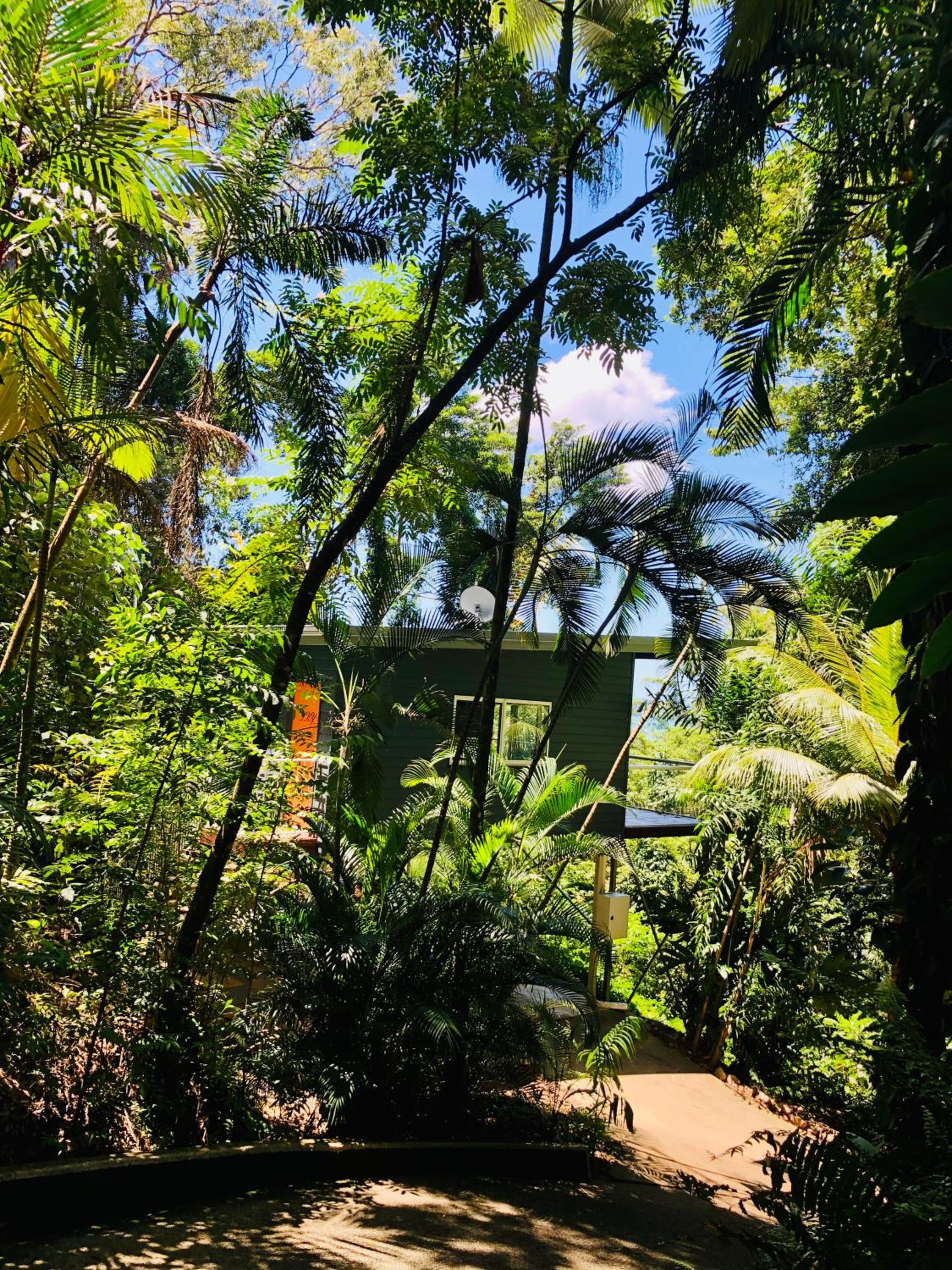 Hotel Sky: Rainforest And Ocean Views With Jacuzzi
