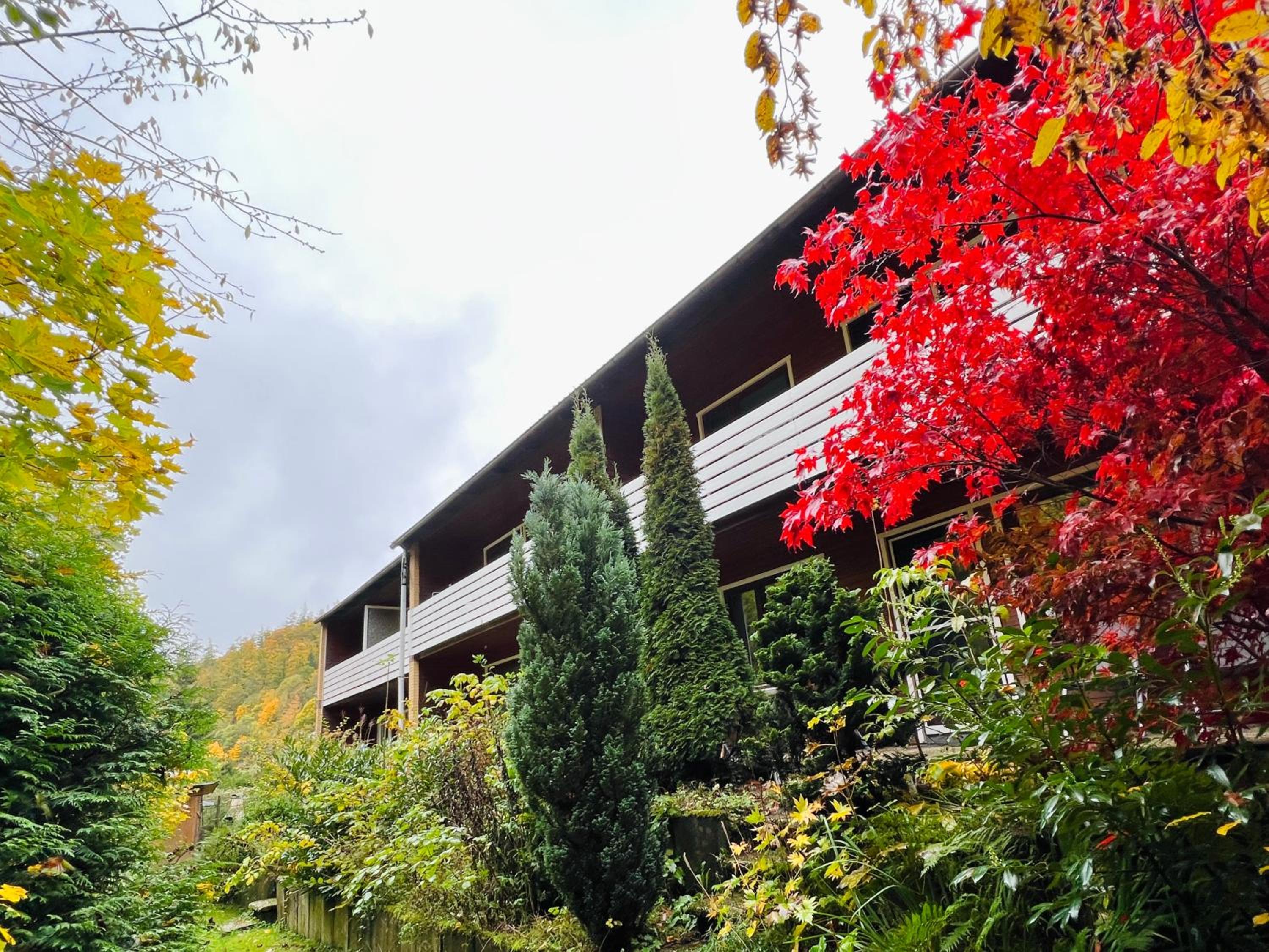 Hotel Vor lauter Bäumen B&B
