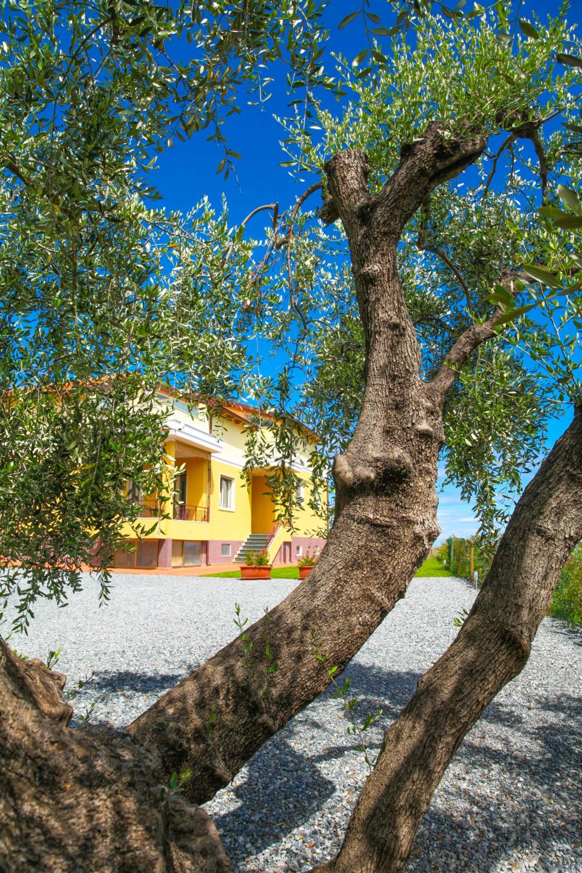 Hotel Appartamenti Villa Il Poggiolo