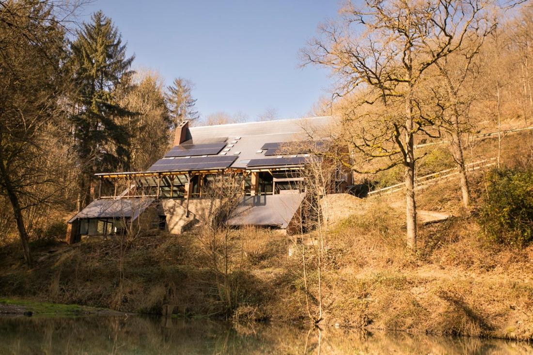 Hotel Zonga Bonzai