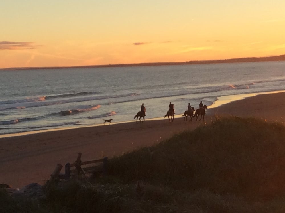 Hotel 3 Moonlight Beach Suites