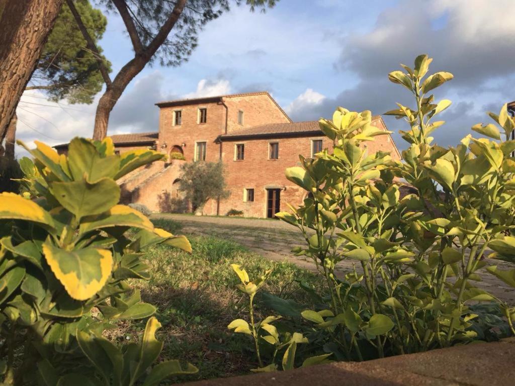 Hotel Podere La Ceppa1