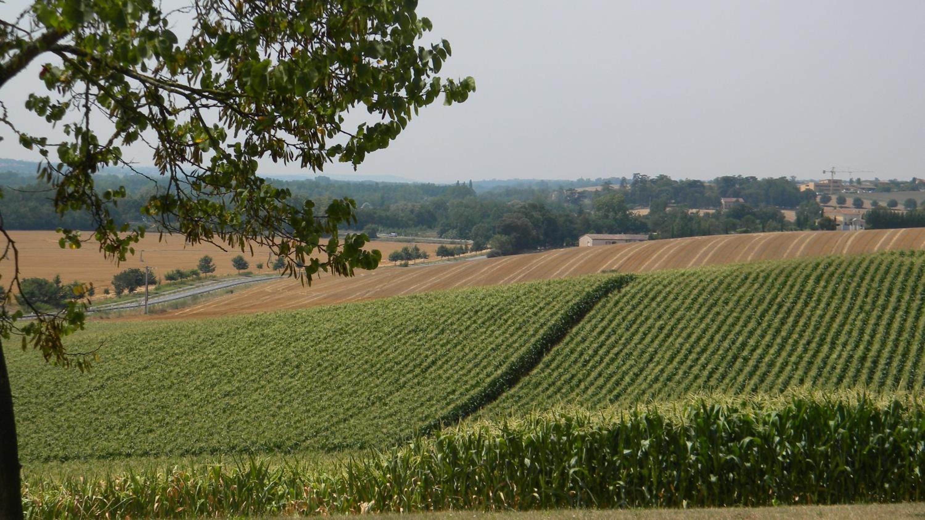 Hotel Chambres d'Hôtes Le Loubet