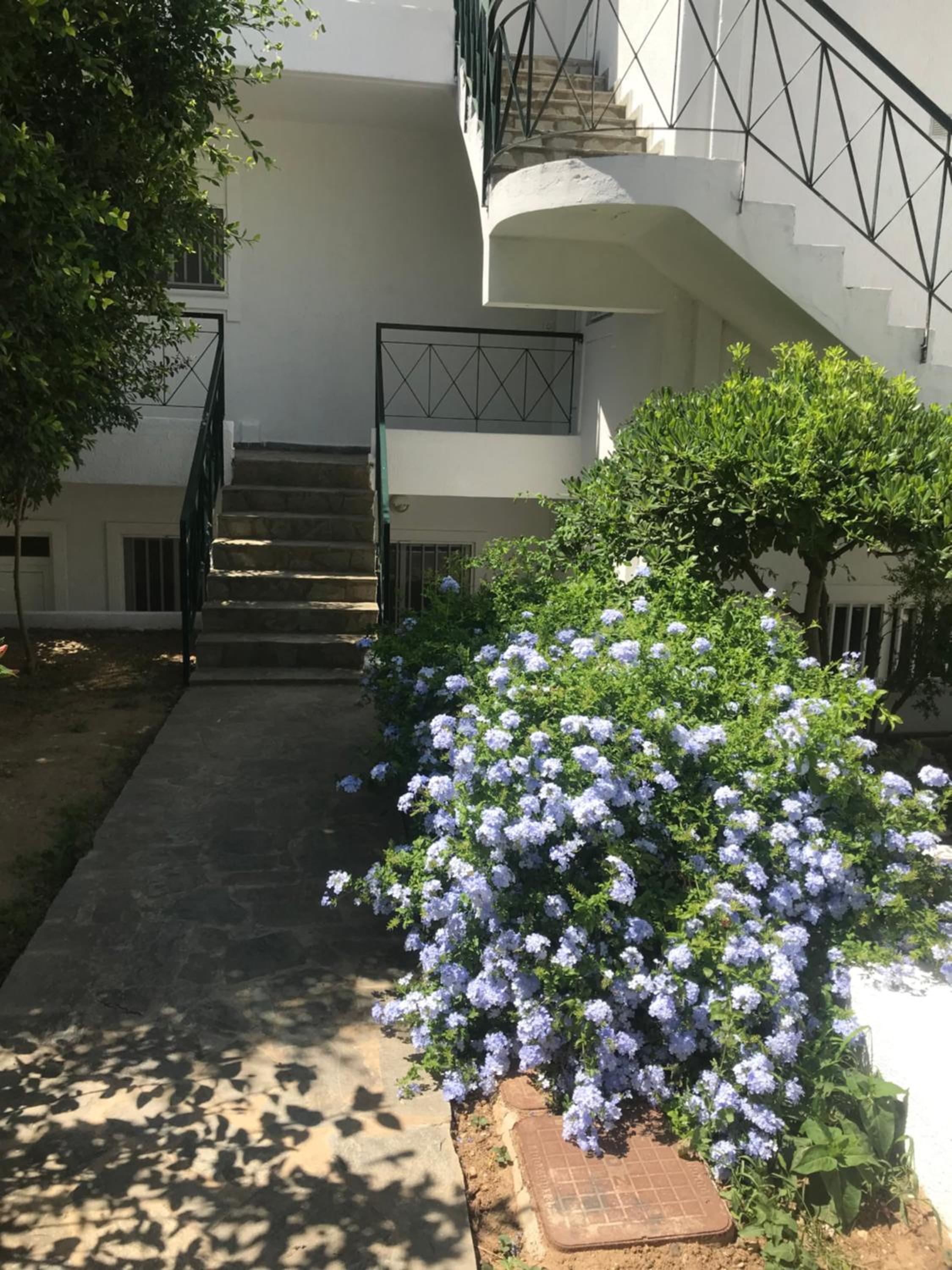 Hotel Elisa Seaside Luxury Suite