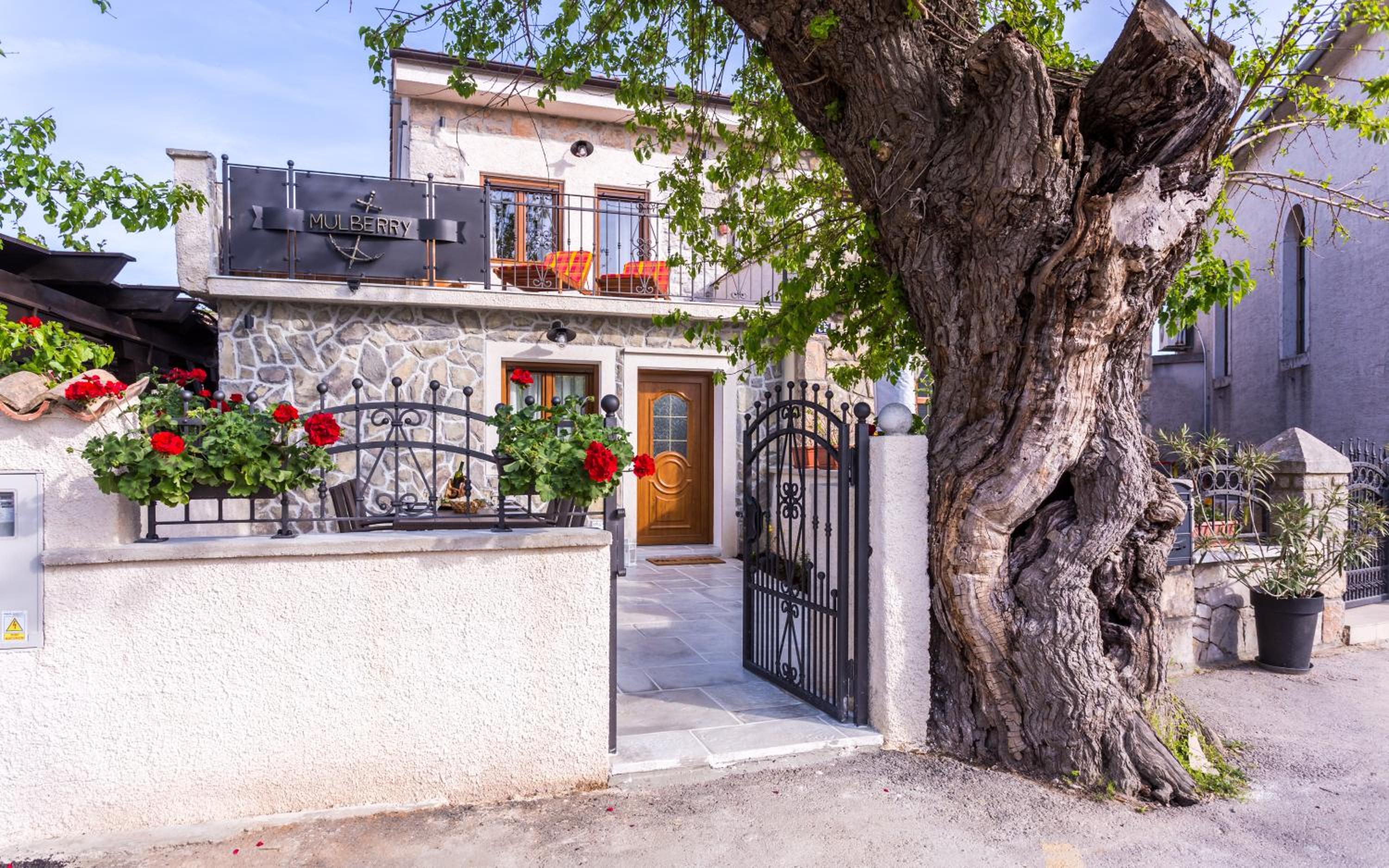 Hotel Villa Mulberry