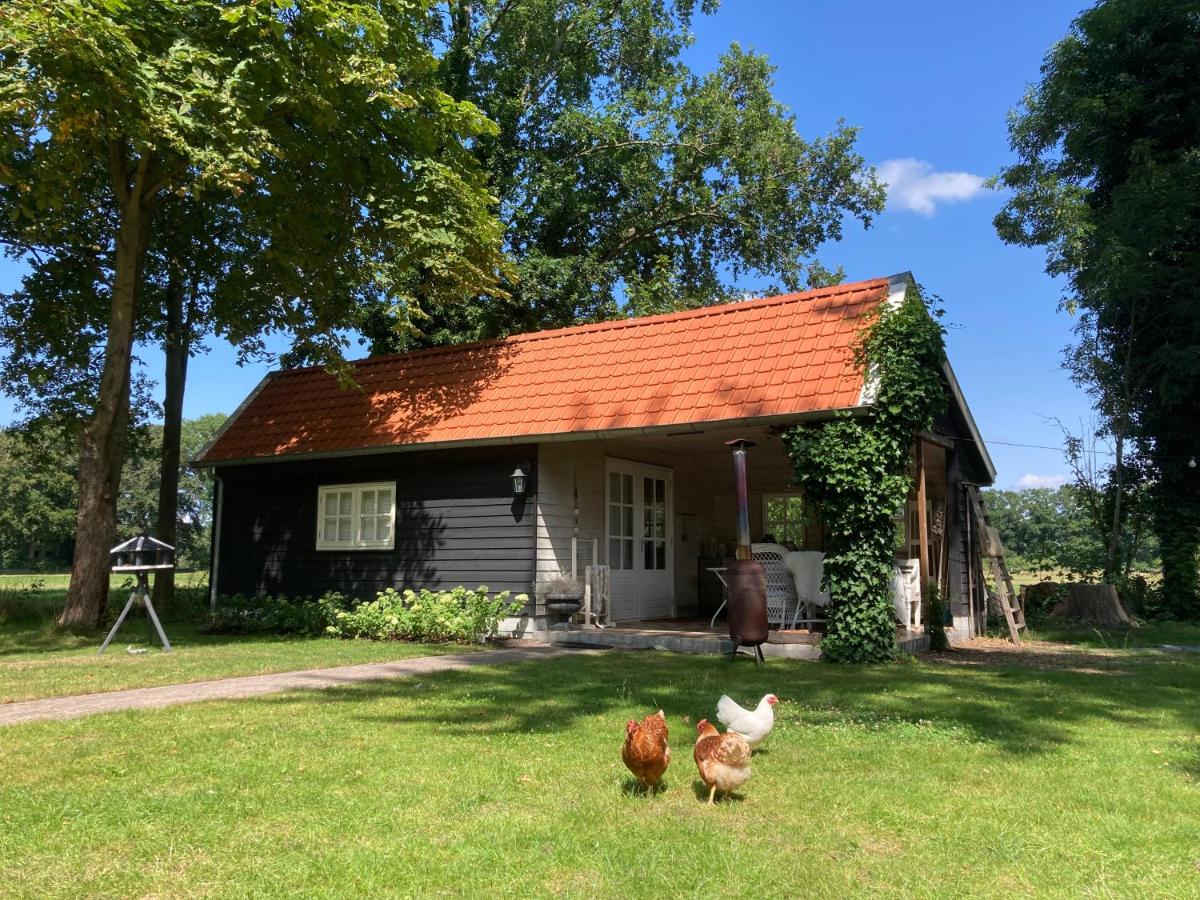 Hotel Bed And Breakfast Warm Welkom