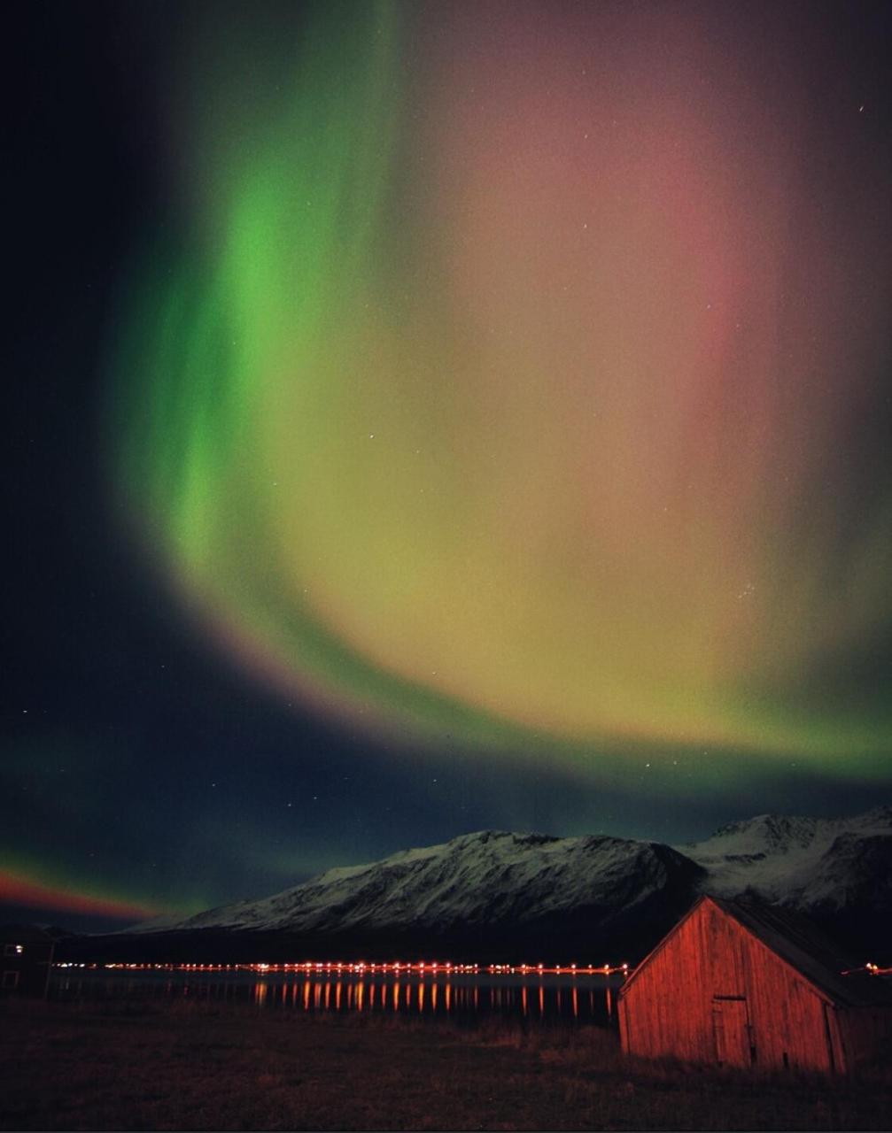 Hotel Lyngen Ski- Og Fiskecamp