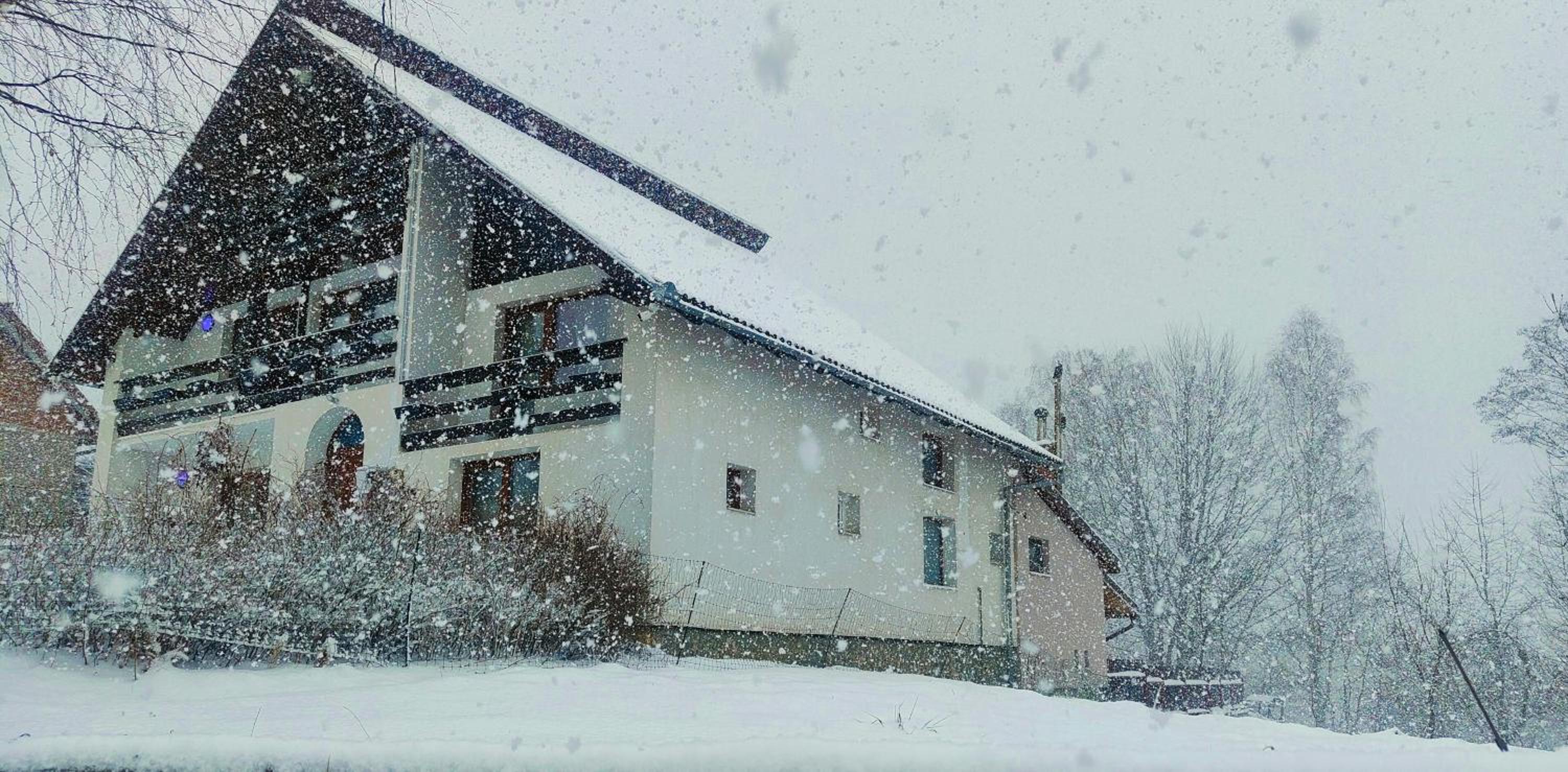 Hotel Casa Ciubărului Bran