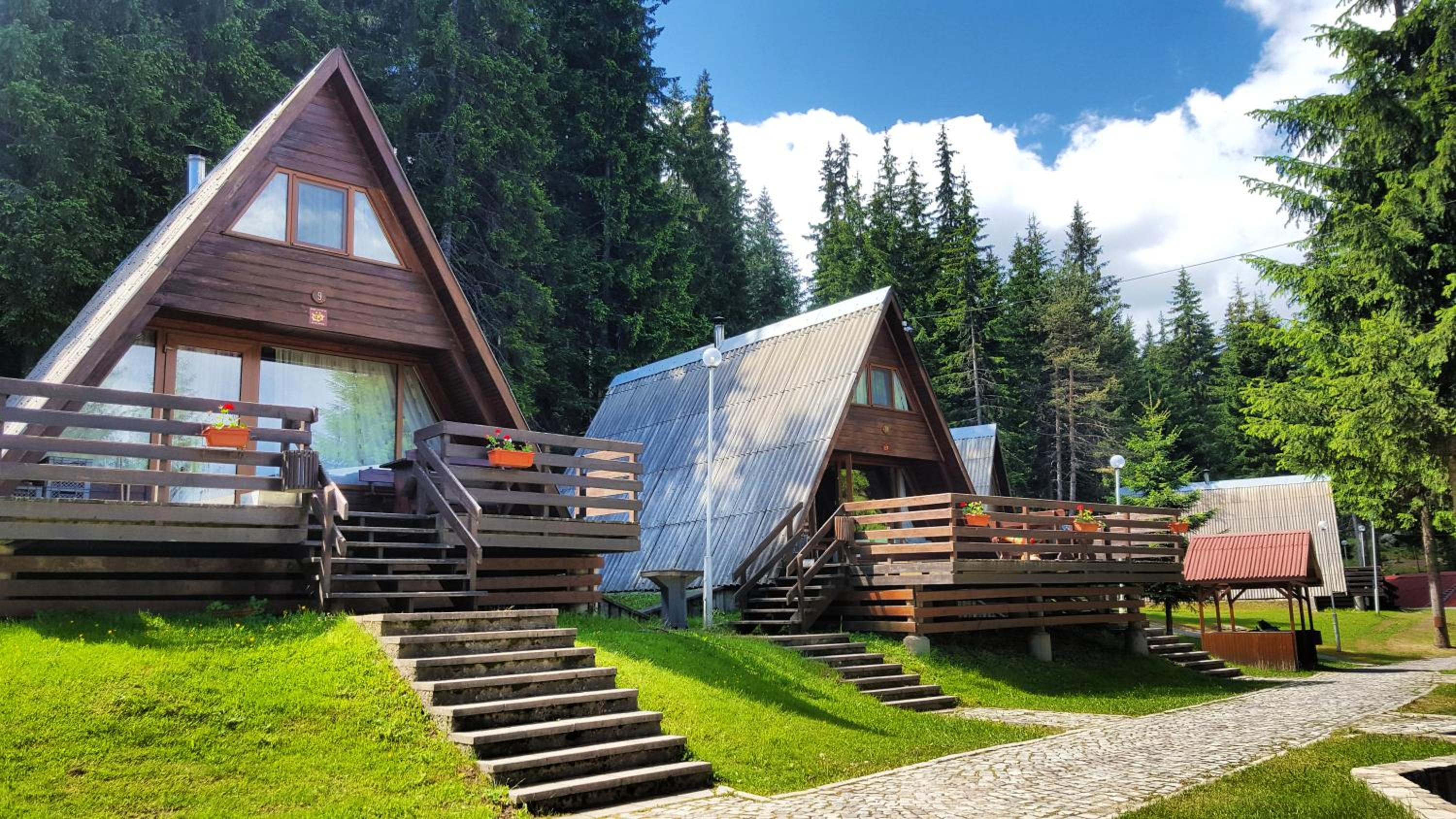 Hotel Romantica Forest Guest House