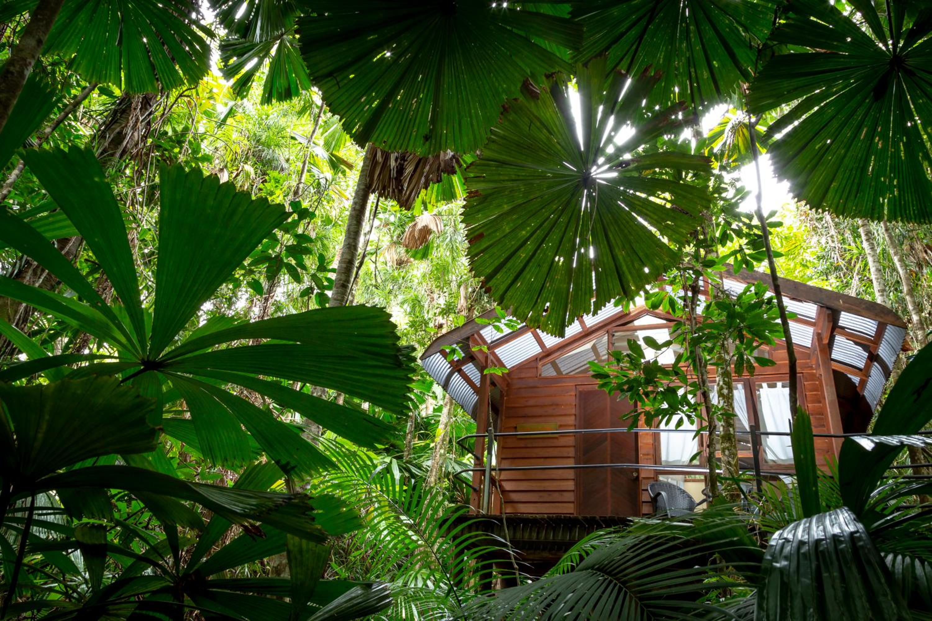 Hotel Daintree Wilderness Lodge