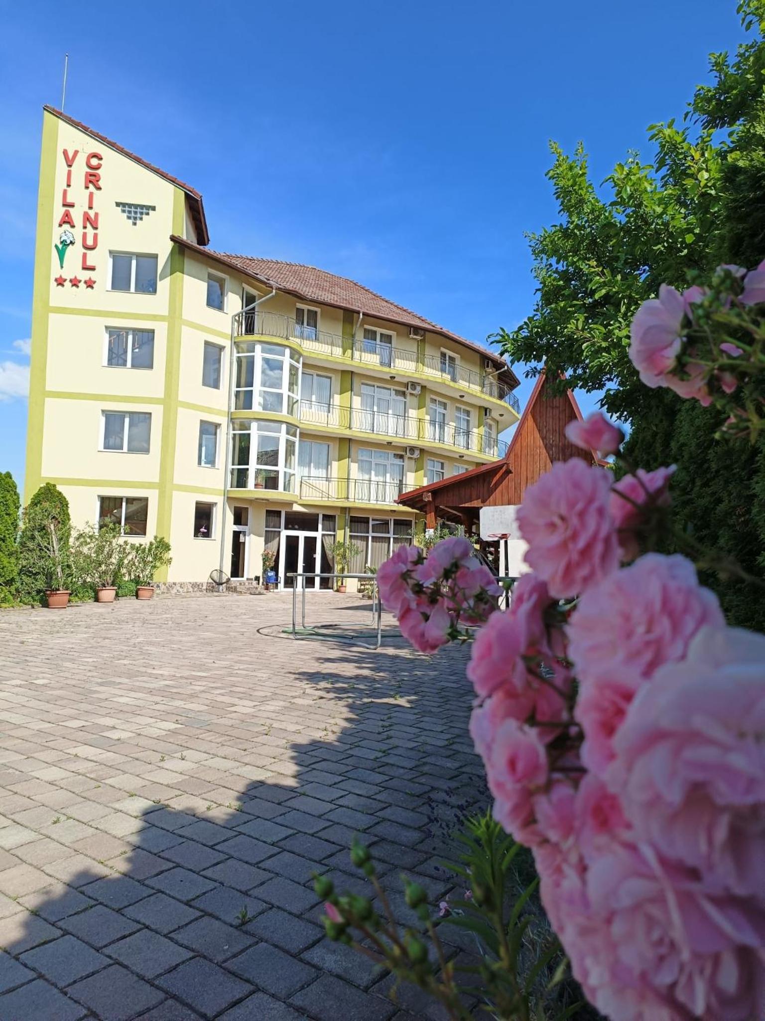 Hotel Vila Crinul