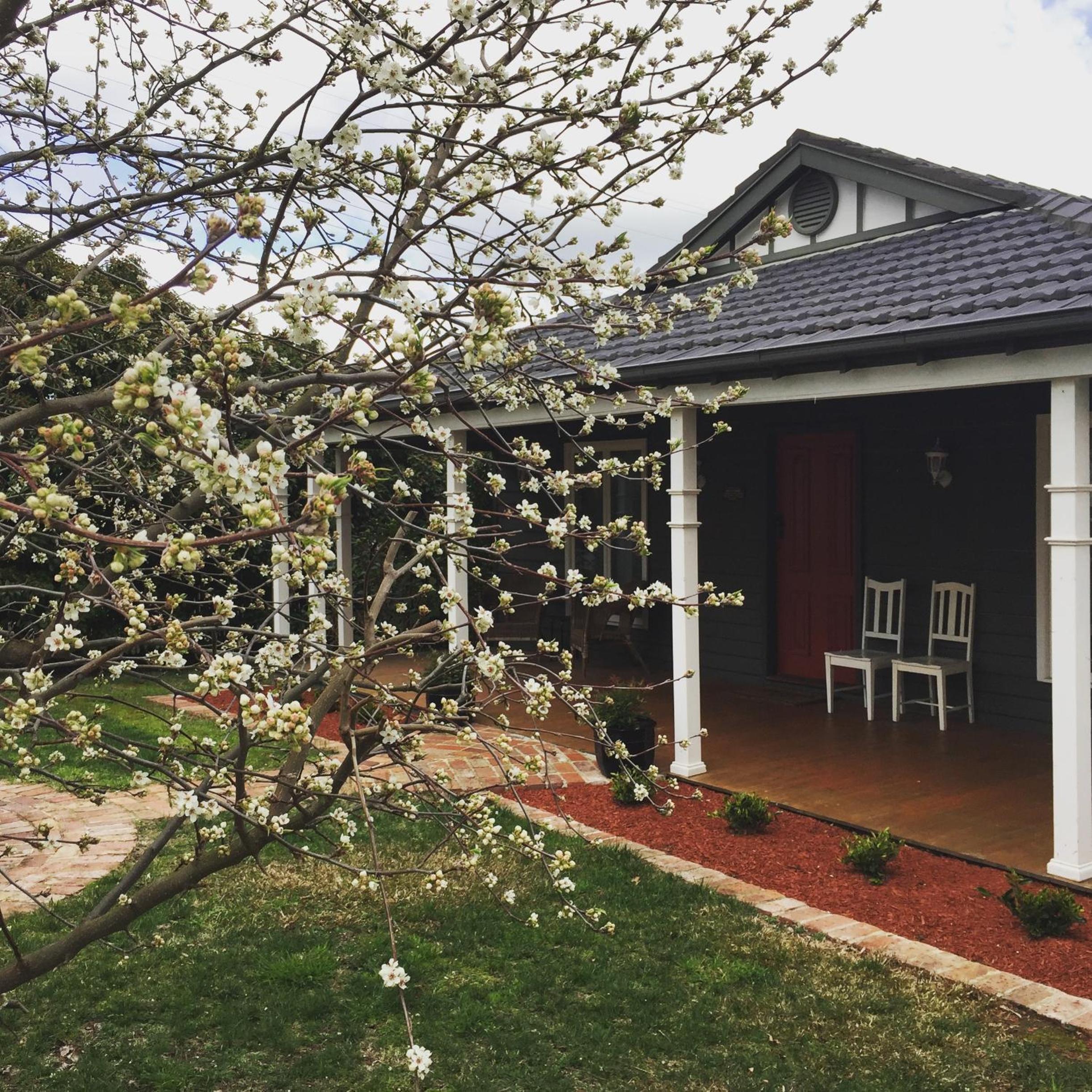 Hotel Pomegranate Guest House