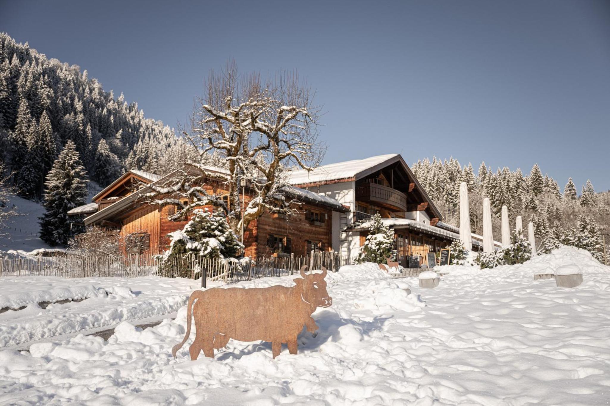 Hotel Alpe Dornach