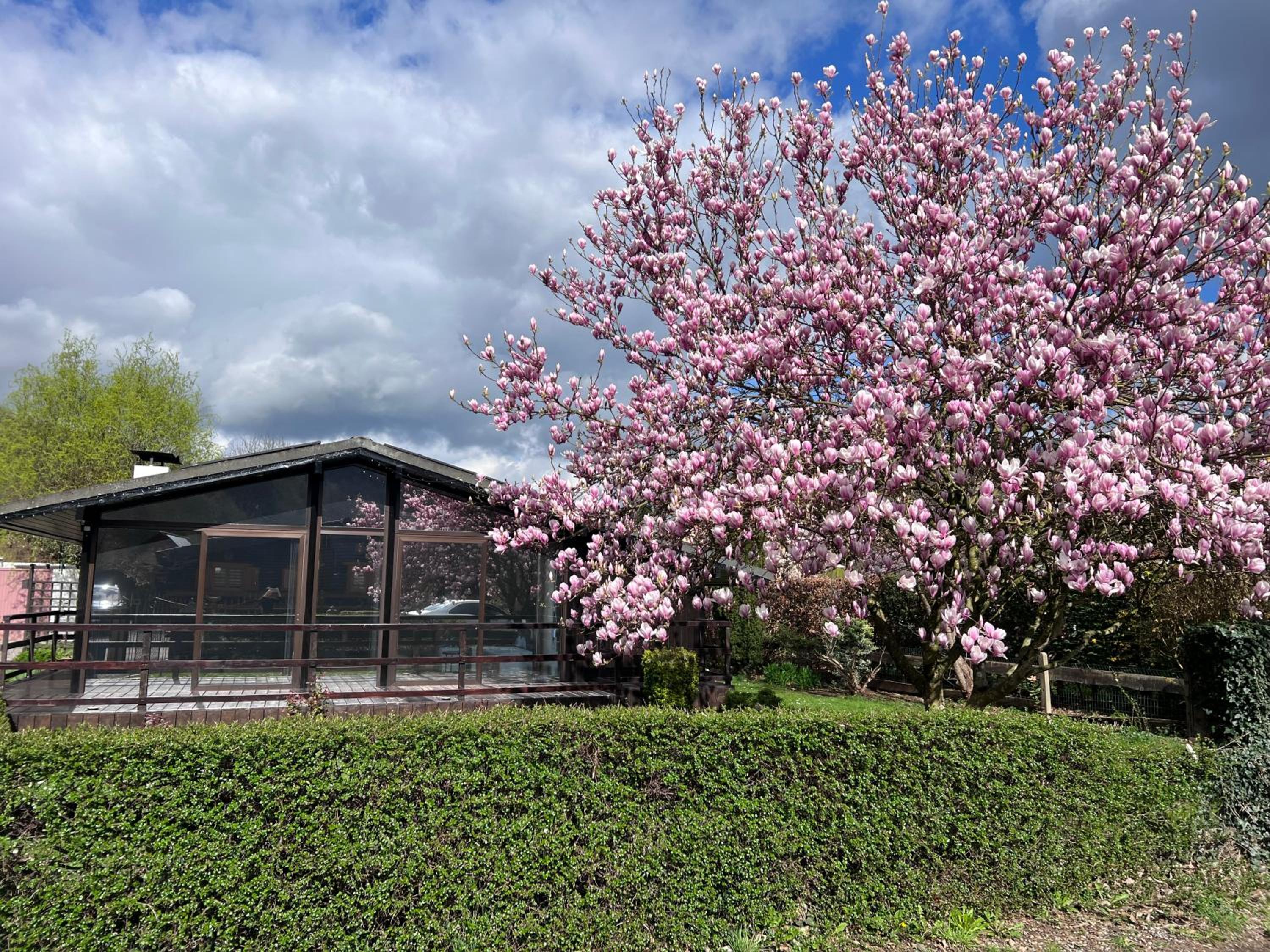 Hotel Spacieux Chalet A Aywaille