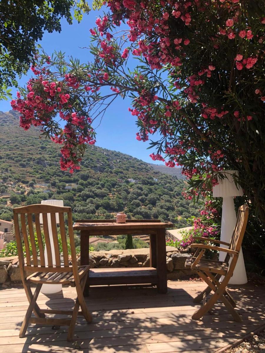 Hotel The Cosy Home Corbara By 1722