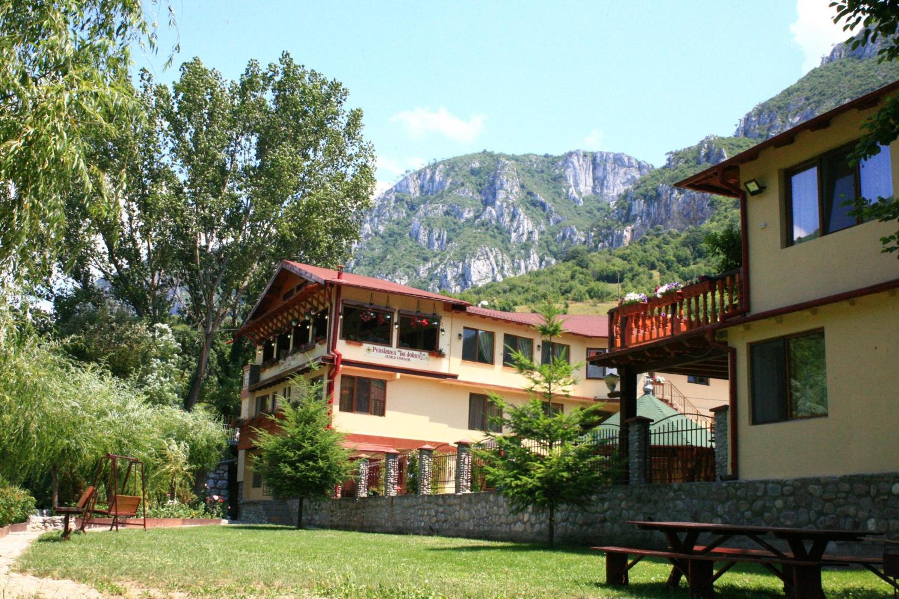 Hotel Pension Cuibul Viselor