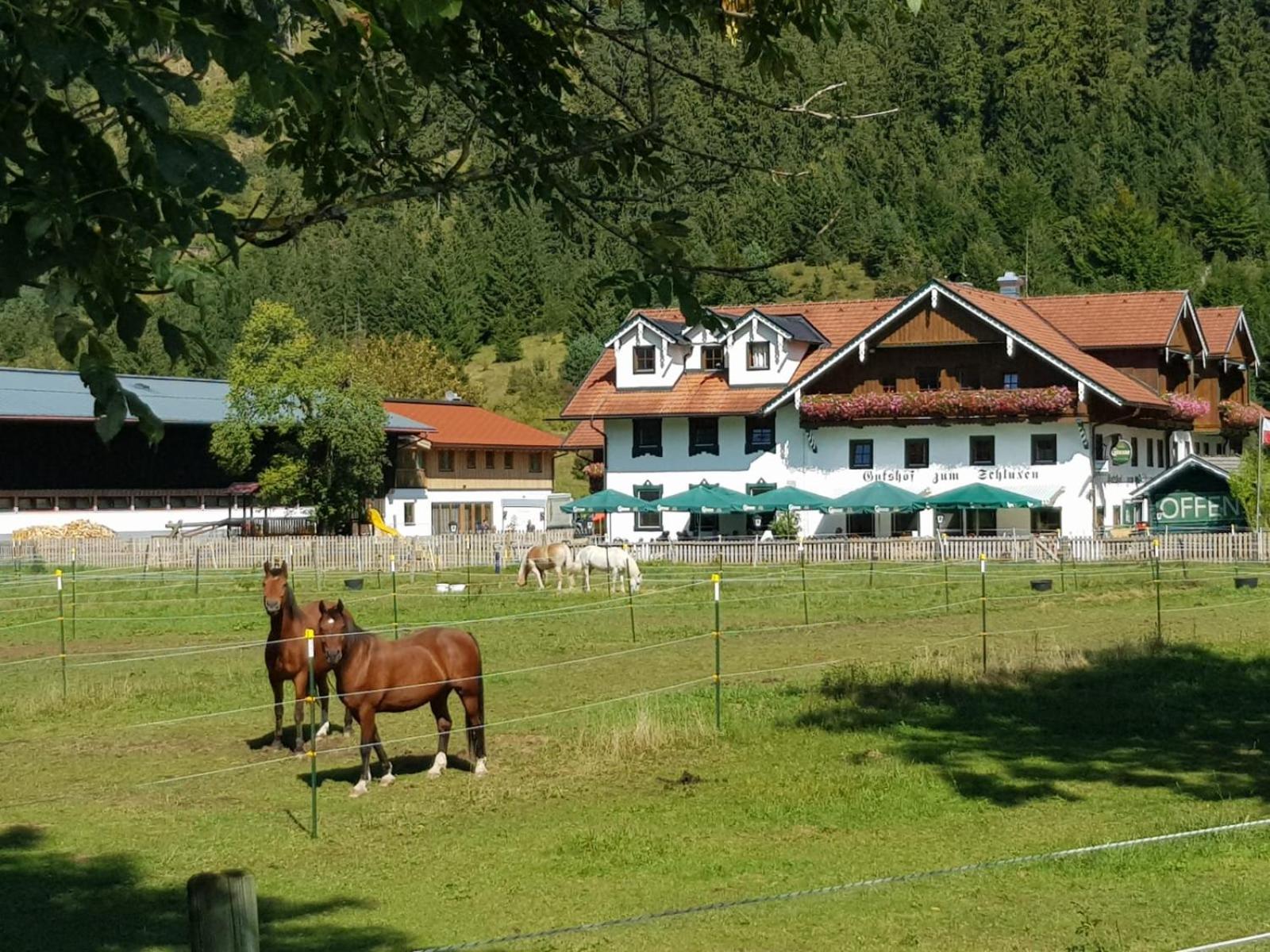 Hotel Gutshof zum Schluxen