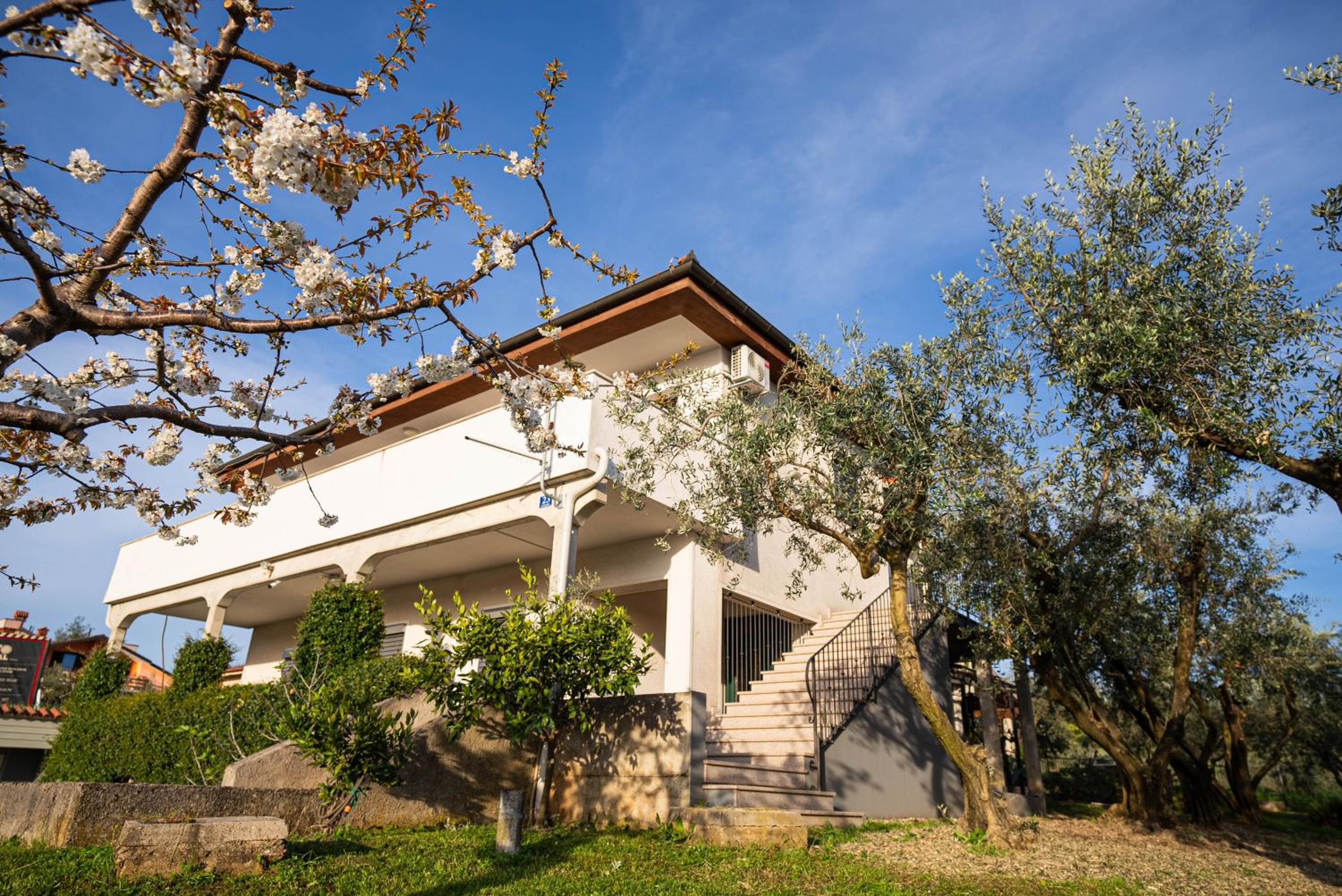 Hotel Olive Garden Apartment