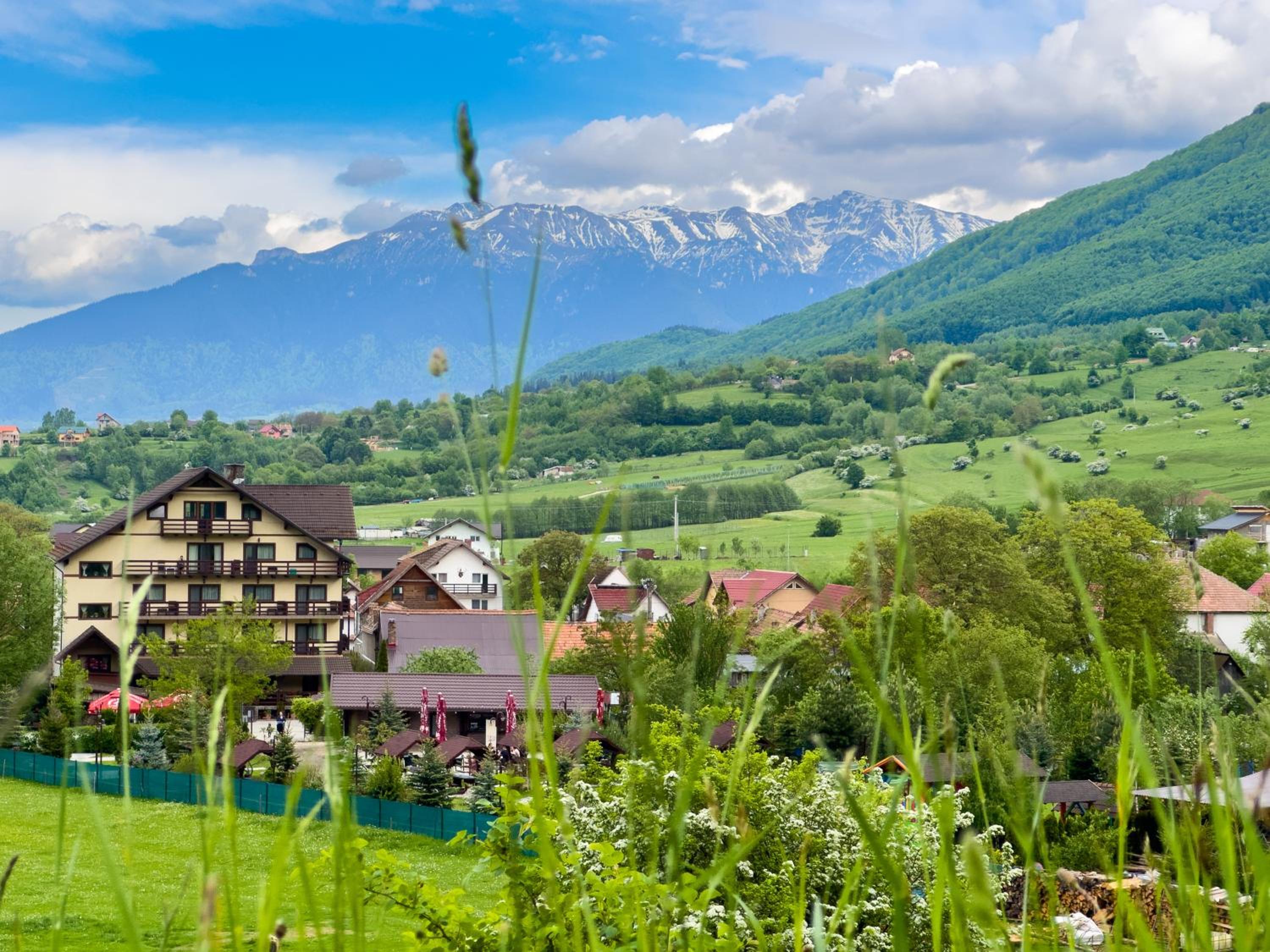 Hotel Vila Hora cu Brazi