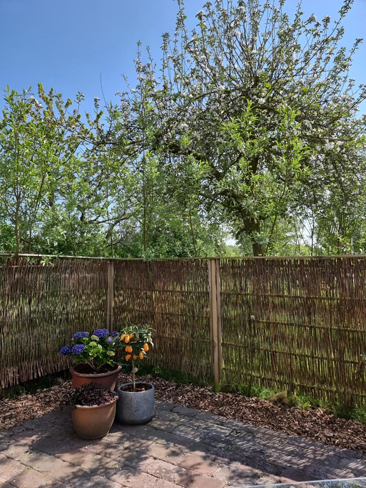 Hotel Calm And Idyllic Surroundings In Northen Jutland