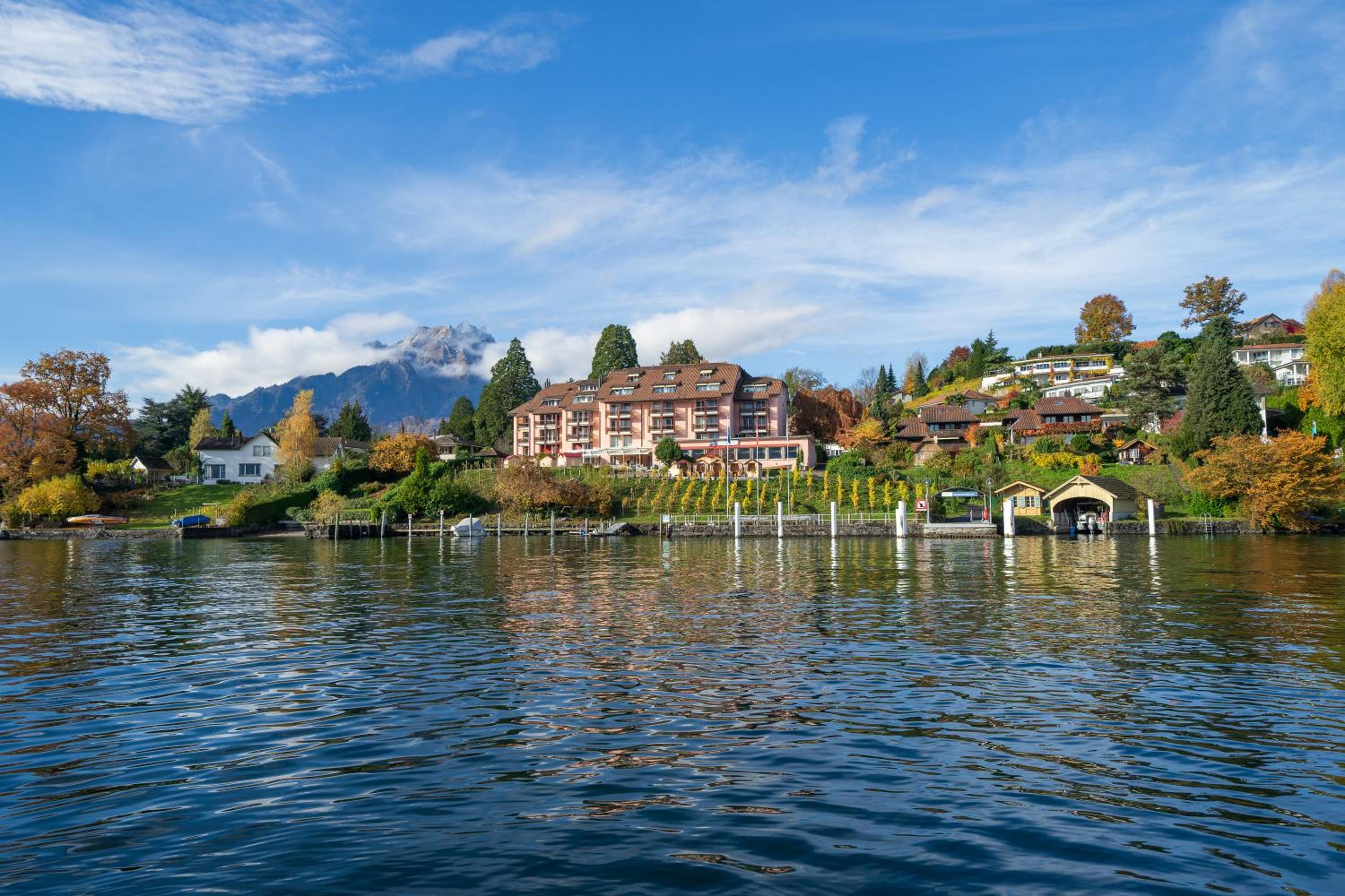 Hotel Seehotel Kastanienbaum