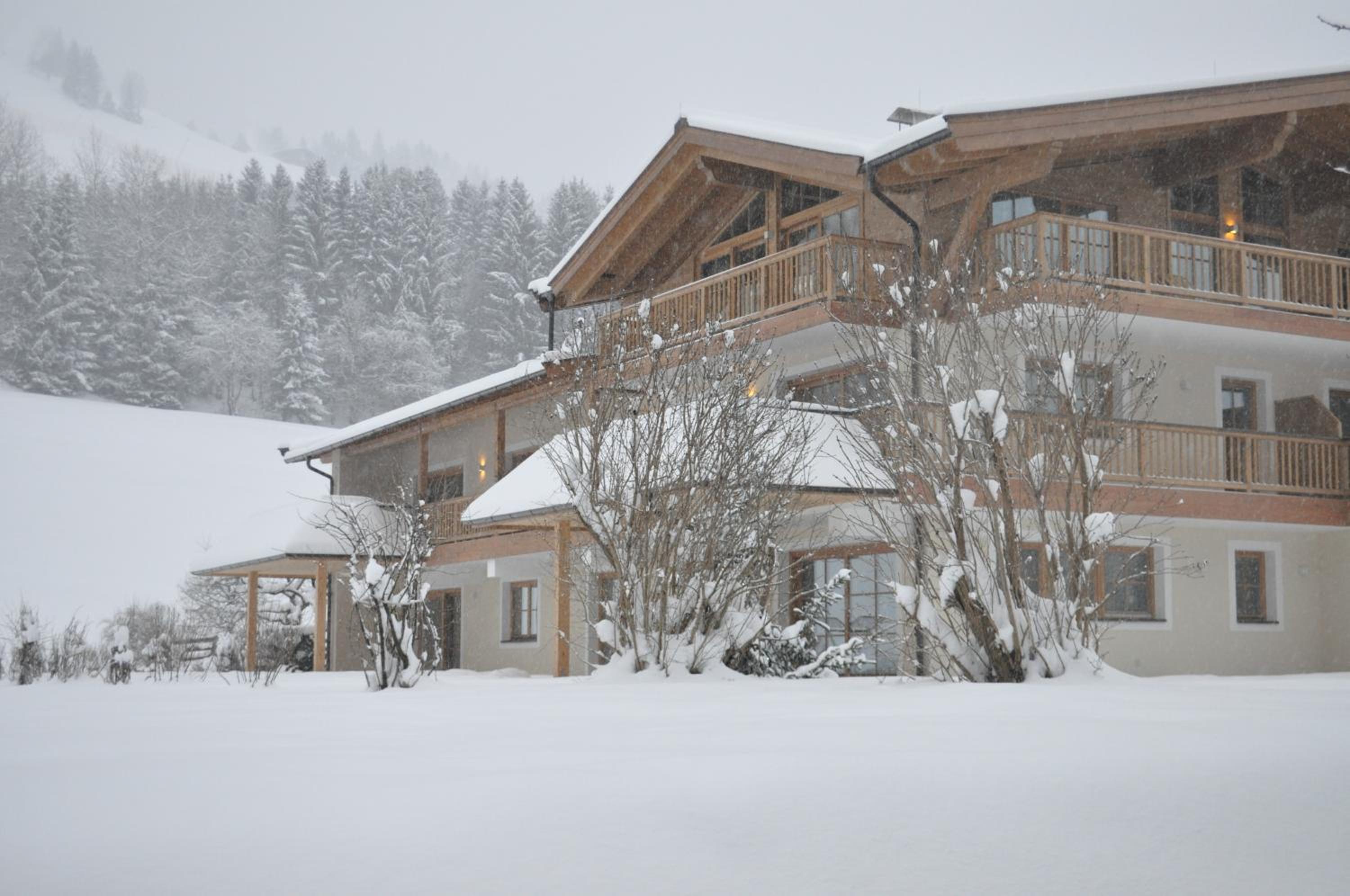 Hotel Alpen Chalet